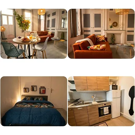Lägenhet Beau 2 Pieces Climatise, Beaux Volumes Et Lumineux - Toutes Commodites - Lille Gares Direct En 30 Minutes *