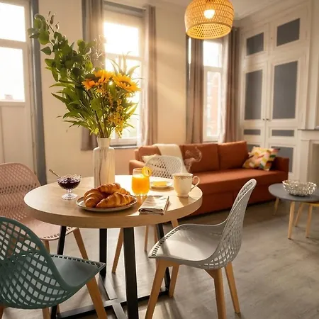 Beau 2 Pieces Climatise, Beaux Volumes Et Lumineux - Toutes Commodites - Lille Gares Direct En 30 Minutes